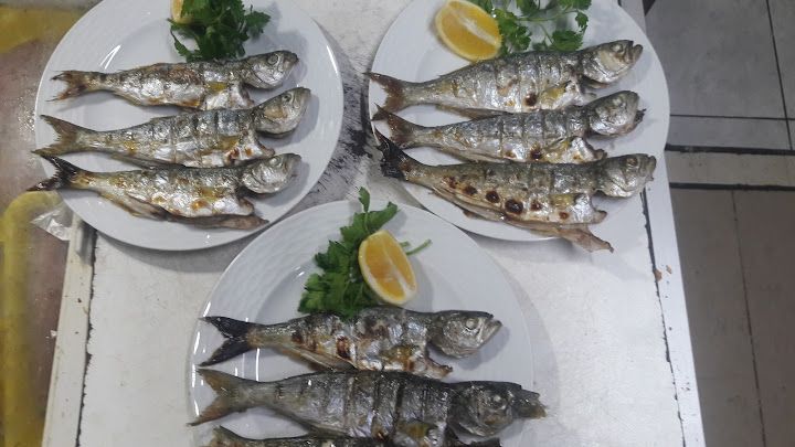 Fotoğraf 27