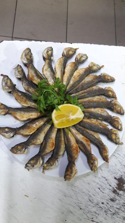 Fotoğraf 25