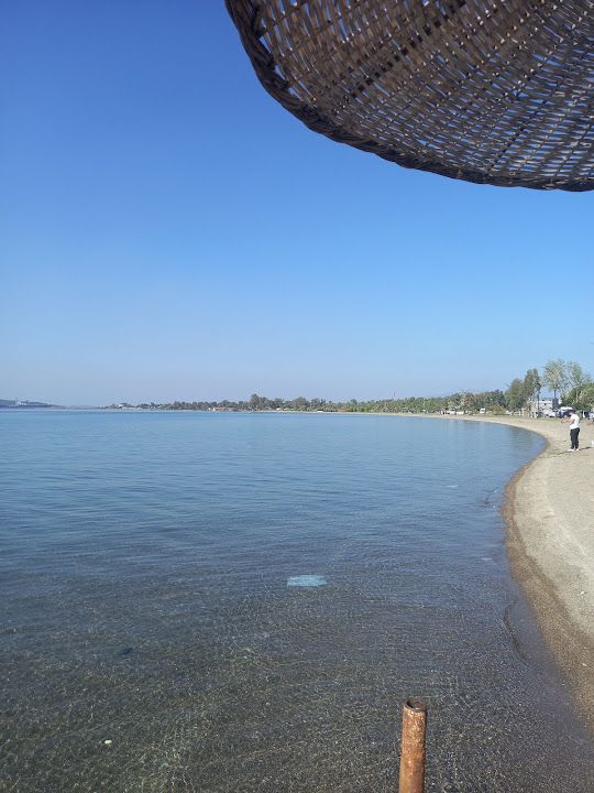 Yorum fotoğrafı 2