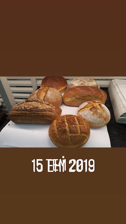 Fotoğraf 19