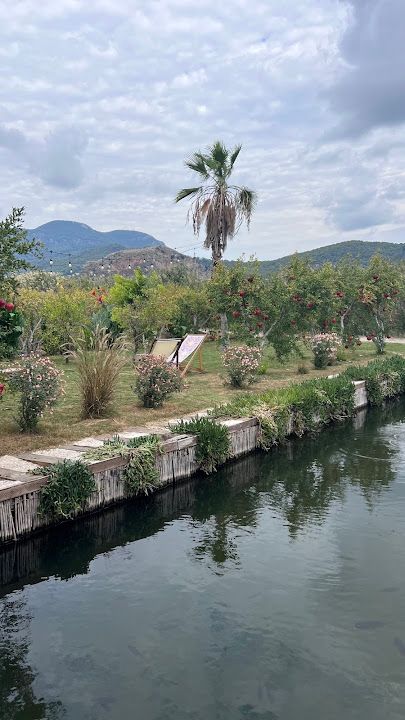 Fotoğraf 55