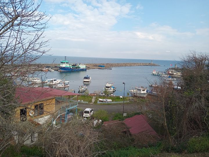 Yorum fotoğrafı 1