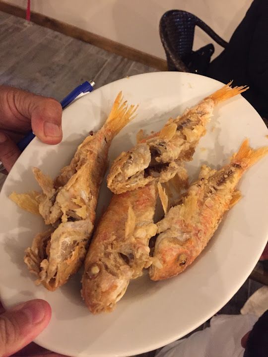 Fotoğraf 29