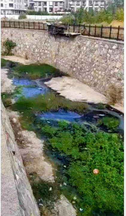 Fotoğraf 29