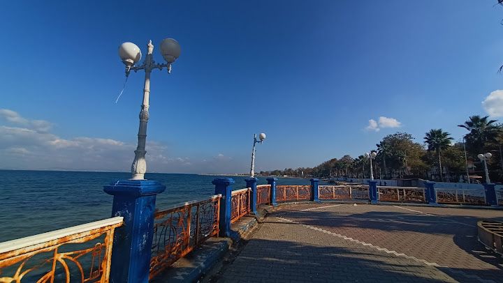 Fotoğraf 47