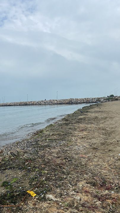 Fotoğraf 42