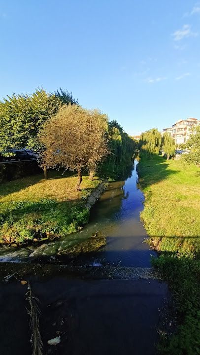 Fotoğraf 46