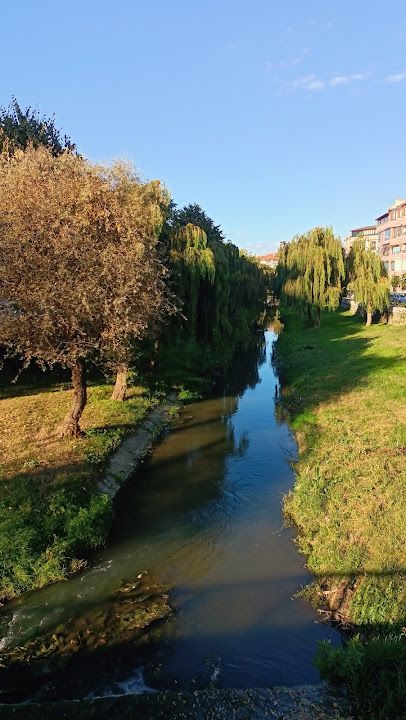 Fotoğraf 45