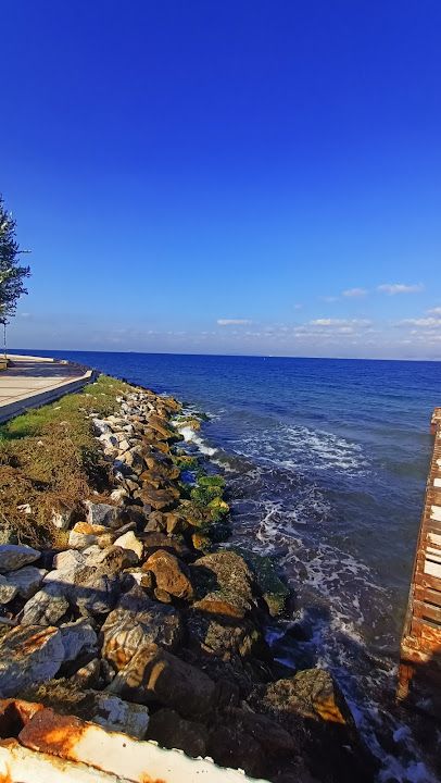 Fotoğraf 44