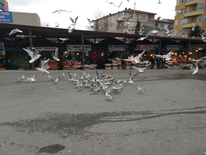 Yorum fotoğrafı 2