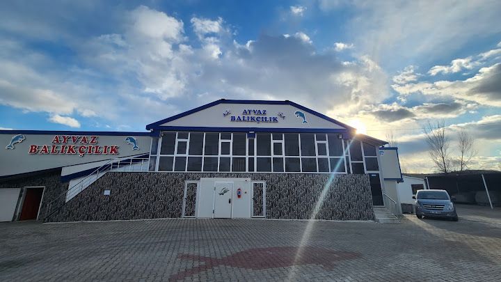 Ayvaz Balıkçılık
