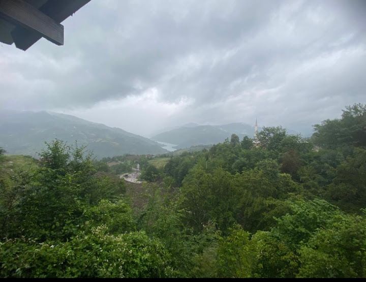 Fotoğraf 39