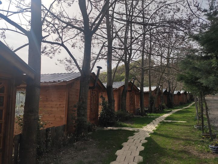 Fotoğraf 22