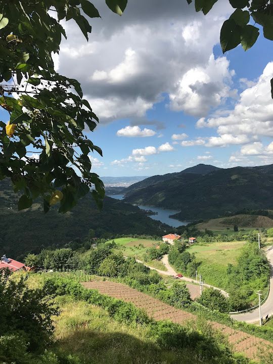 Fotoğraf 51