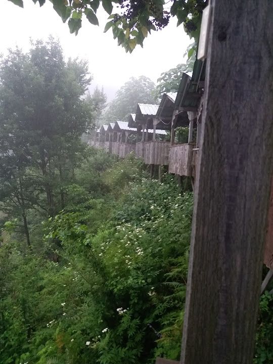 Fotoğraf 49