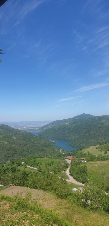 Fotoğraf 46
