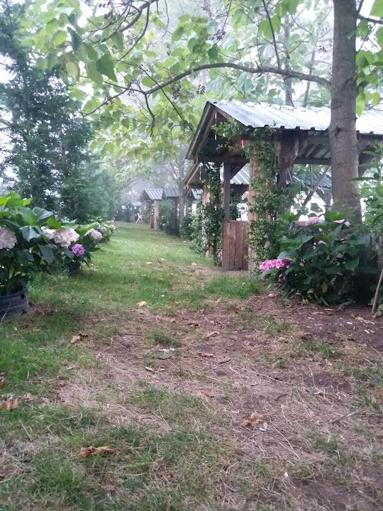 Fotoğraf 50