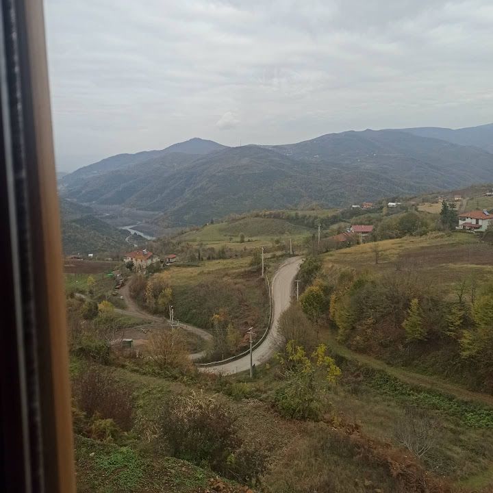 Fotoğraf 13