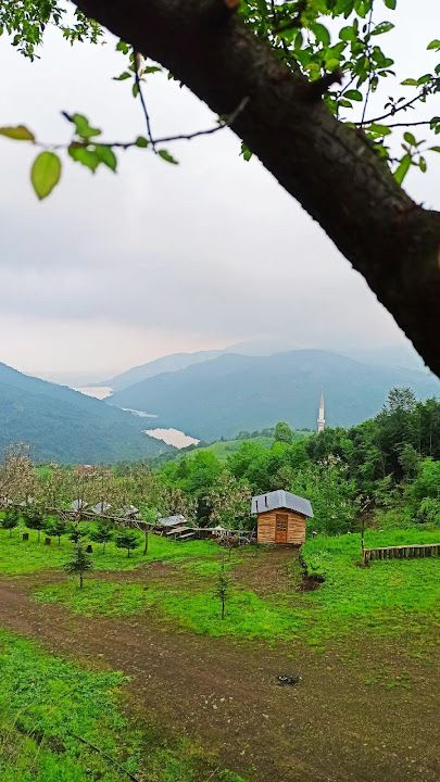Fotoğraf 19