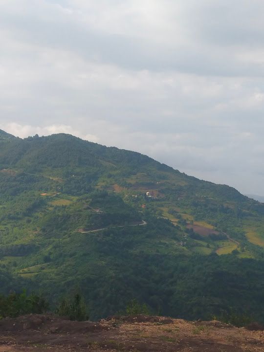 Fotoğraf 34