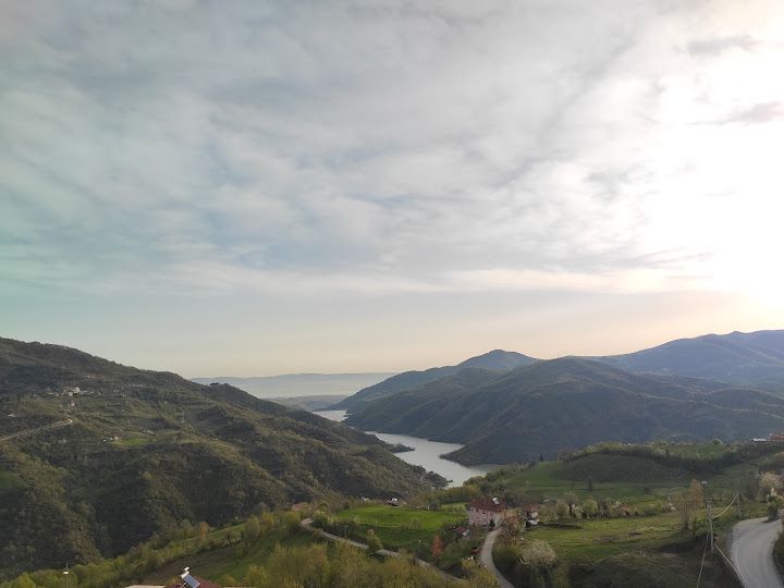Fotoğraf 24