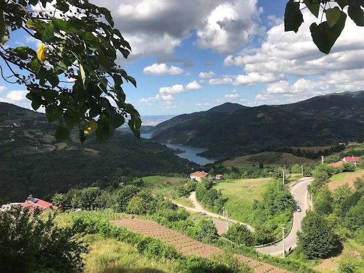 Fotoğraf 53