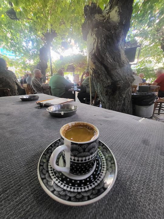 Fotoğraf 22