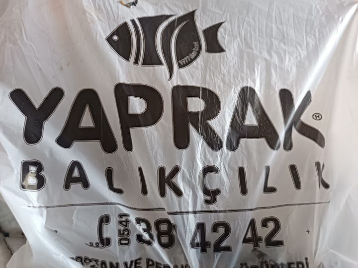 Yorum fotoğrafı 4