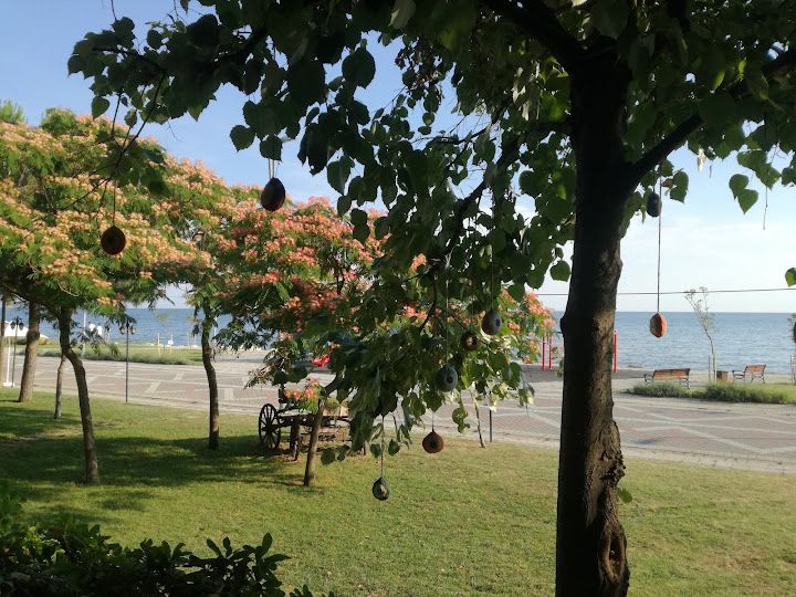 Fotoğraf 15