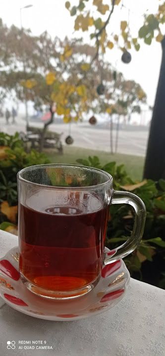 Fotoğraf 19