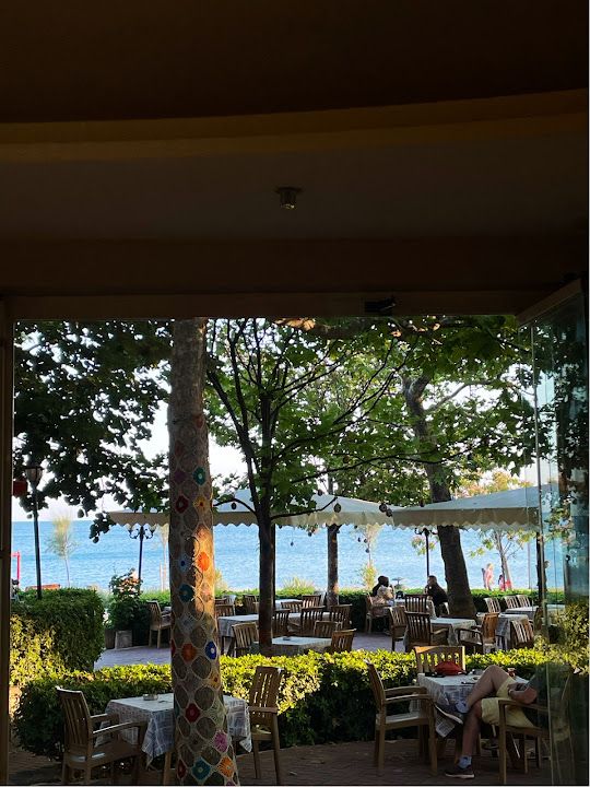 Fotoğraf 16