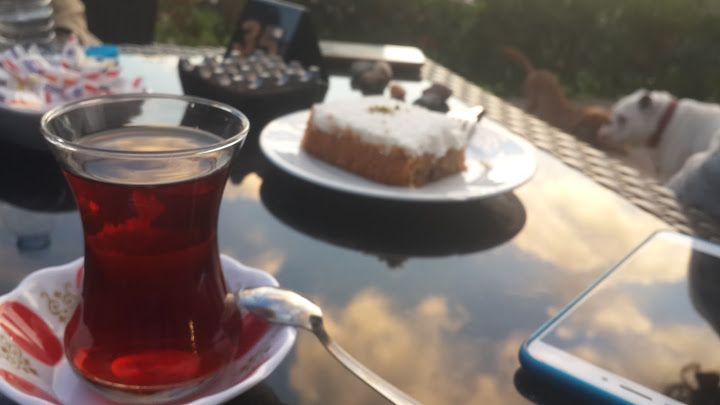 Fotoğraf 25