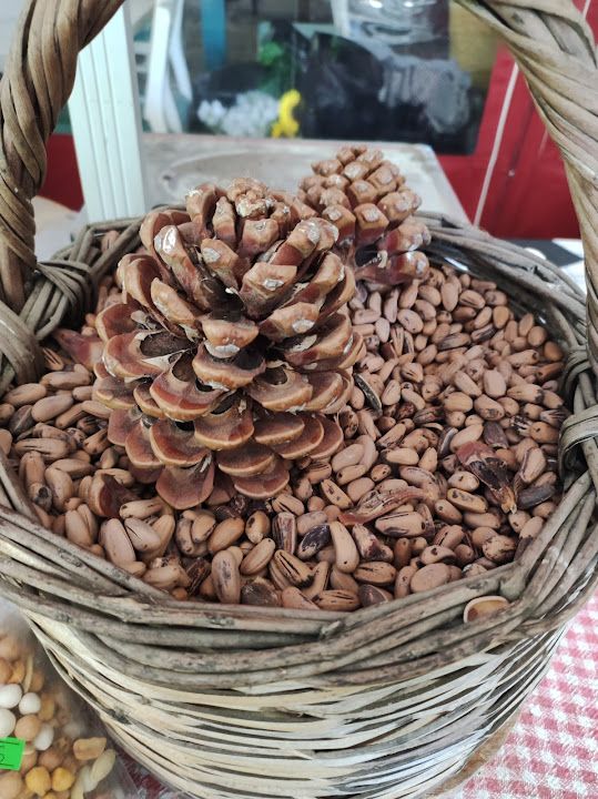 Fotoğraf 35