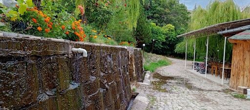 Yorum fotoğrafı 10