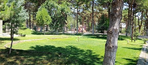 Yorum fotoğrafı 10