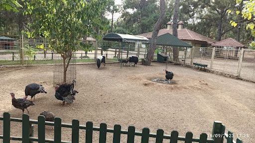 Yorum fotoğrafı 3