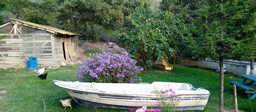 Yorum fotoğrafı 4