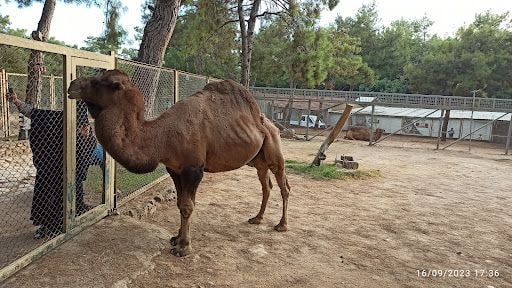 Yorum fotoğrafı 5