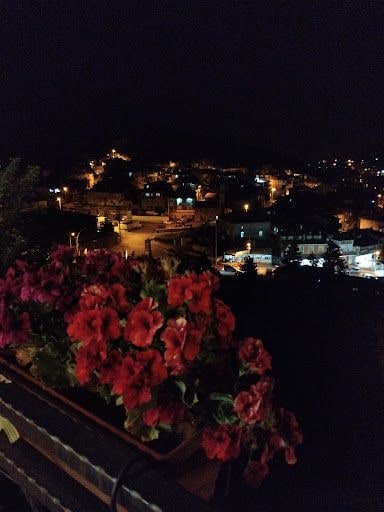Yorum fotoğrafı 5