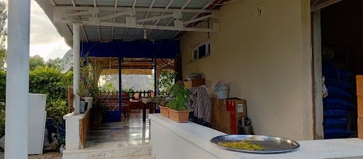 Yorum fotoğrafı 7