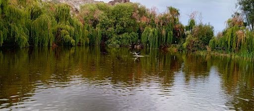 Yorum fotoğrafı 7
