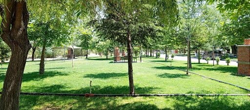 Yorum fotoğrafı 8