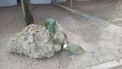 Yorum fotoğrafı 9