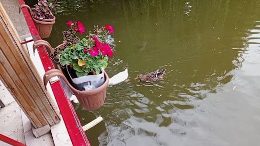 Yorum fotoğrafı 9