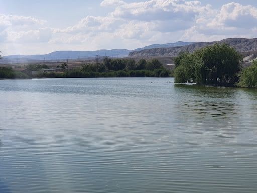 Yorum fotoğrafı 6