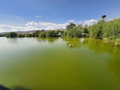 Yorum fotoğrafı 9