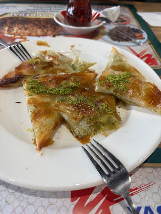 Fotoğraf 15
