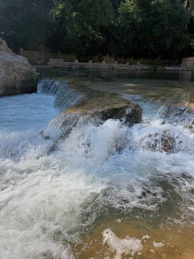 Yorum fotoğrafı 6