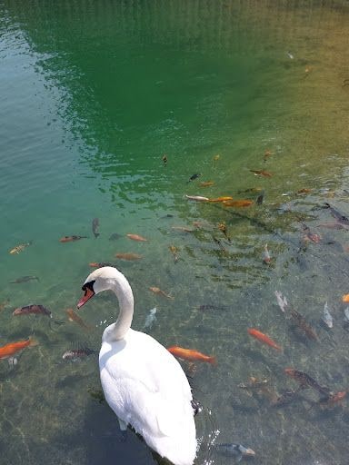 Yorum fotoğrafı 5