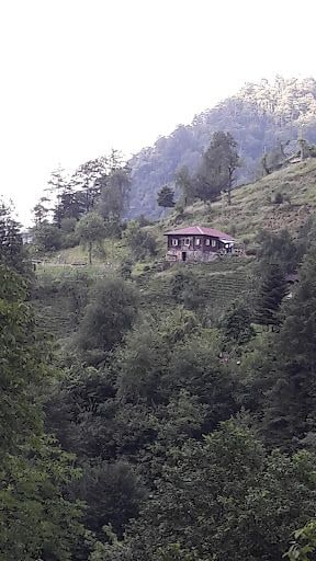 Fotoğraf 17